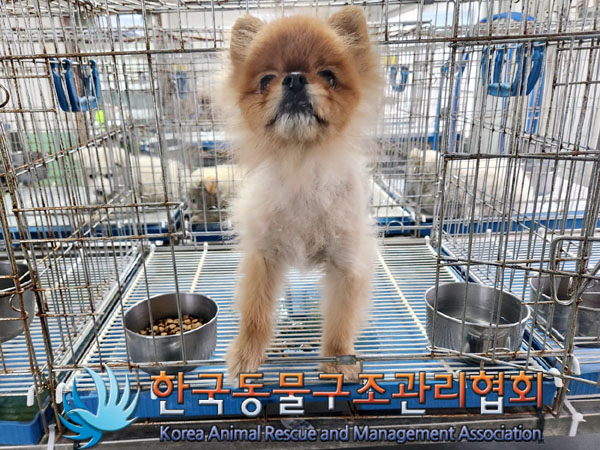 한국동물구조관리협회_441559202300340