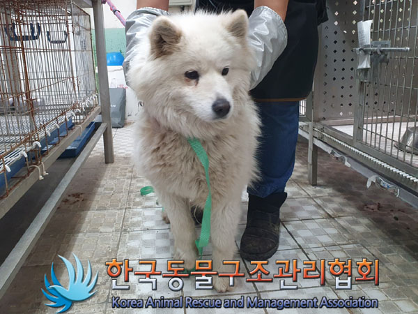 한국동물구조관리협회_441406202300522