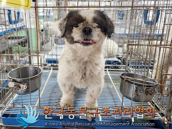한국동물구조관리협회_441409202300574