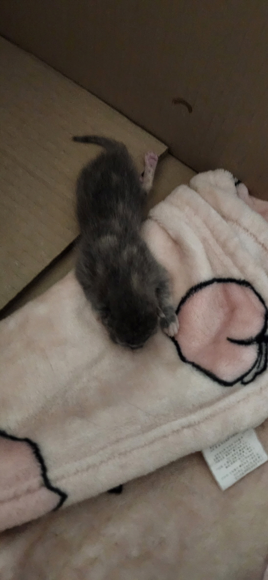익산유기동물보호소_445468202300850