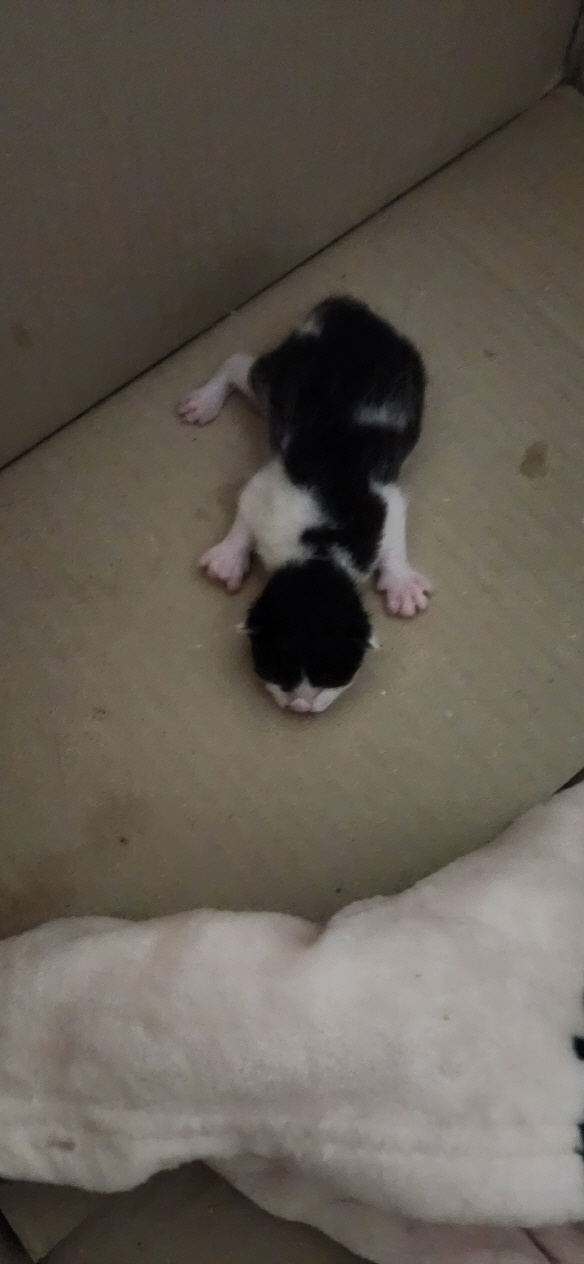 익산유기동물보호소_445468202300848