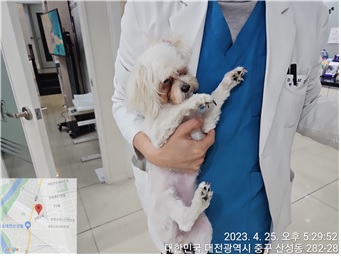 대전동물보호센터_430365202300163
