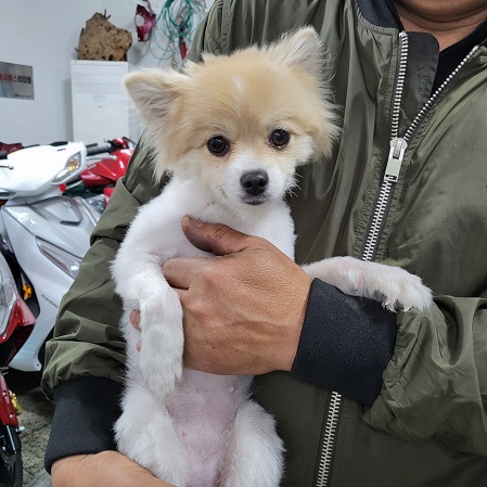 옥천동물병원_443443202300225