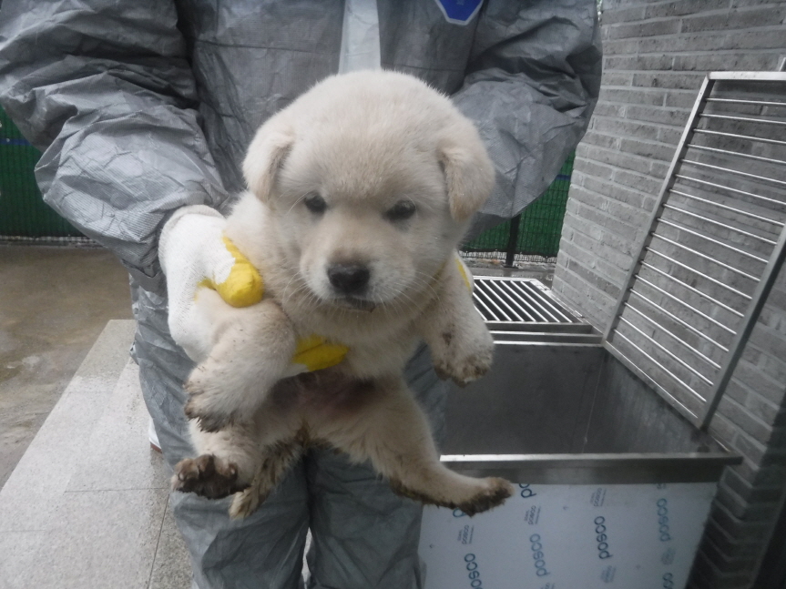 제주 동물보호센터_450650202301358