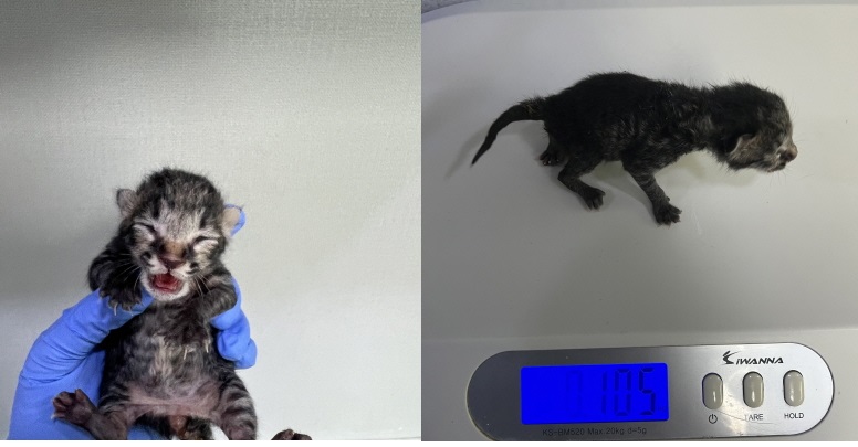 누리동물병원_426335202300088