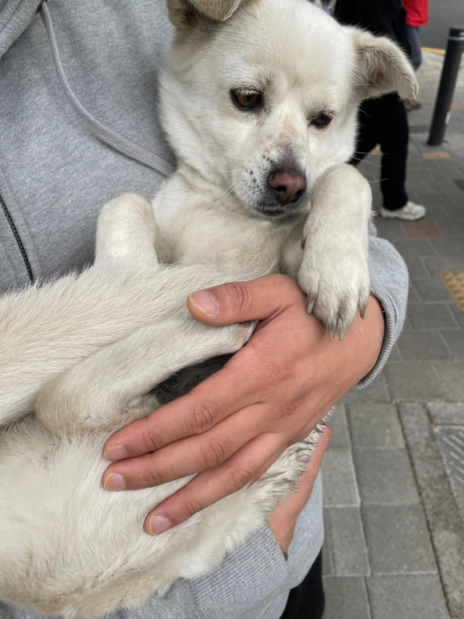 한국동물구조관리협회_411306202300301