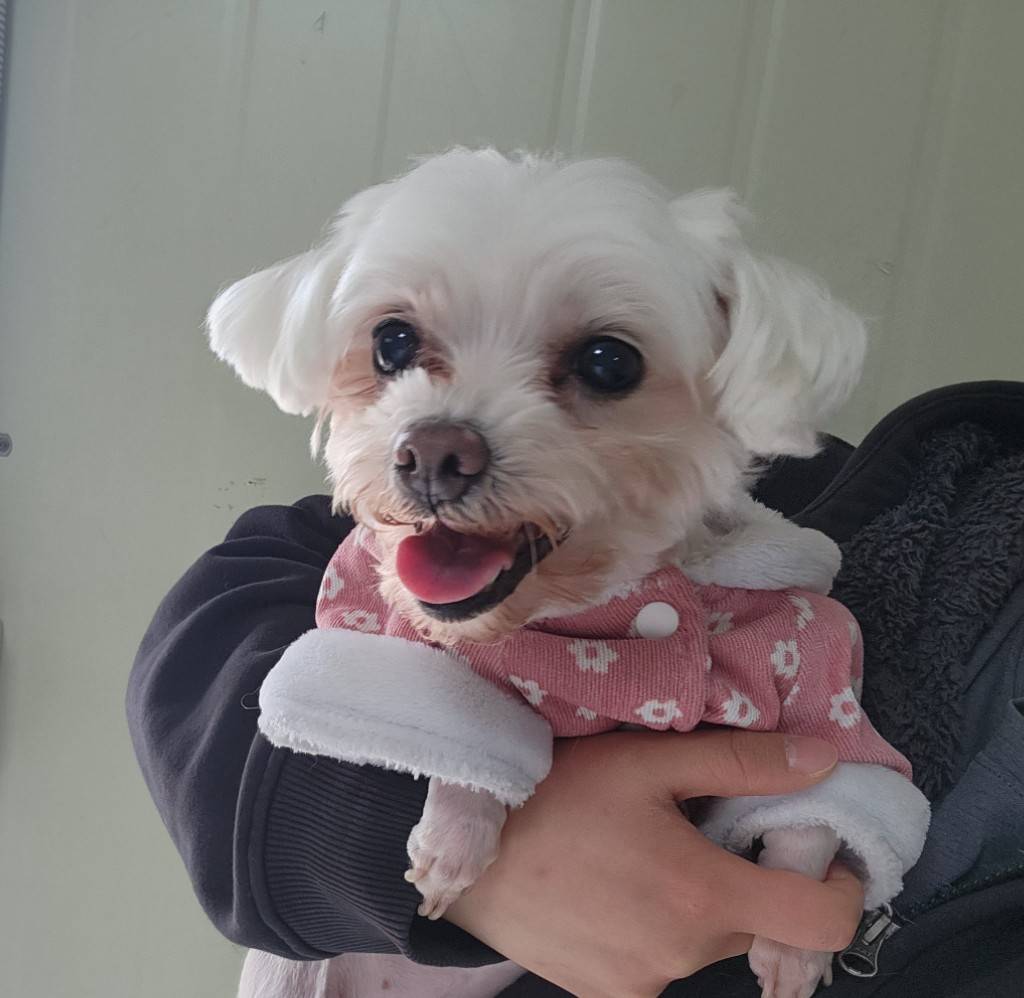 한국야생동물보호협회_441393202300651