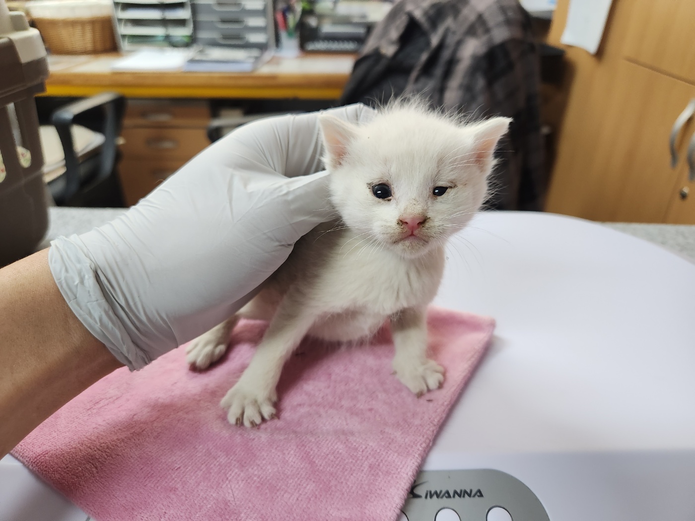 광주 동물보호소_429360202300330