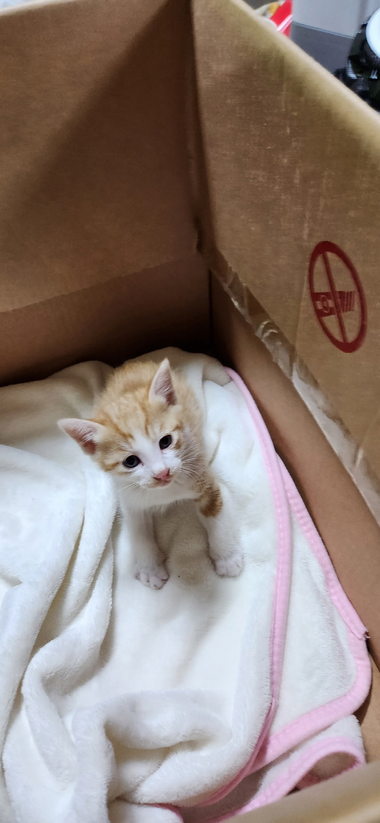 익산유기동물보호소_445468202300854
