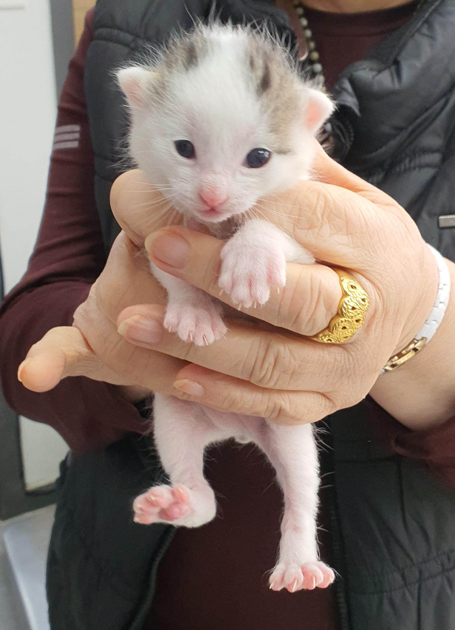 베스트동물병원_428357202300306