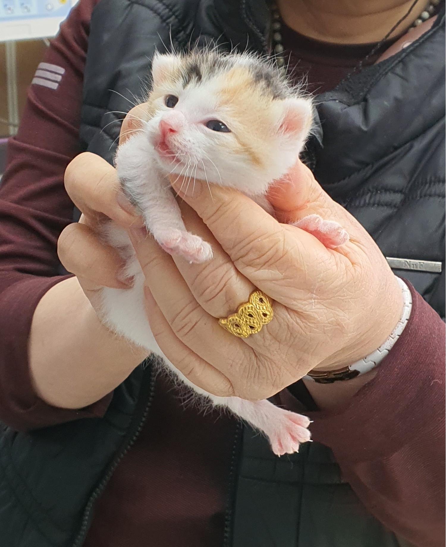 베스트동물병원_428357202300309