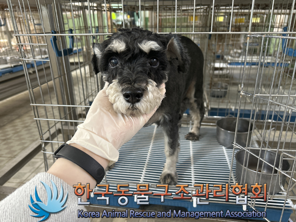한국동물구조관리협회_441382202300282