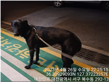 대전동물보호센터_430366202300259
