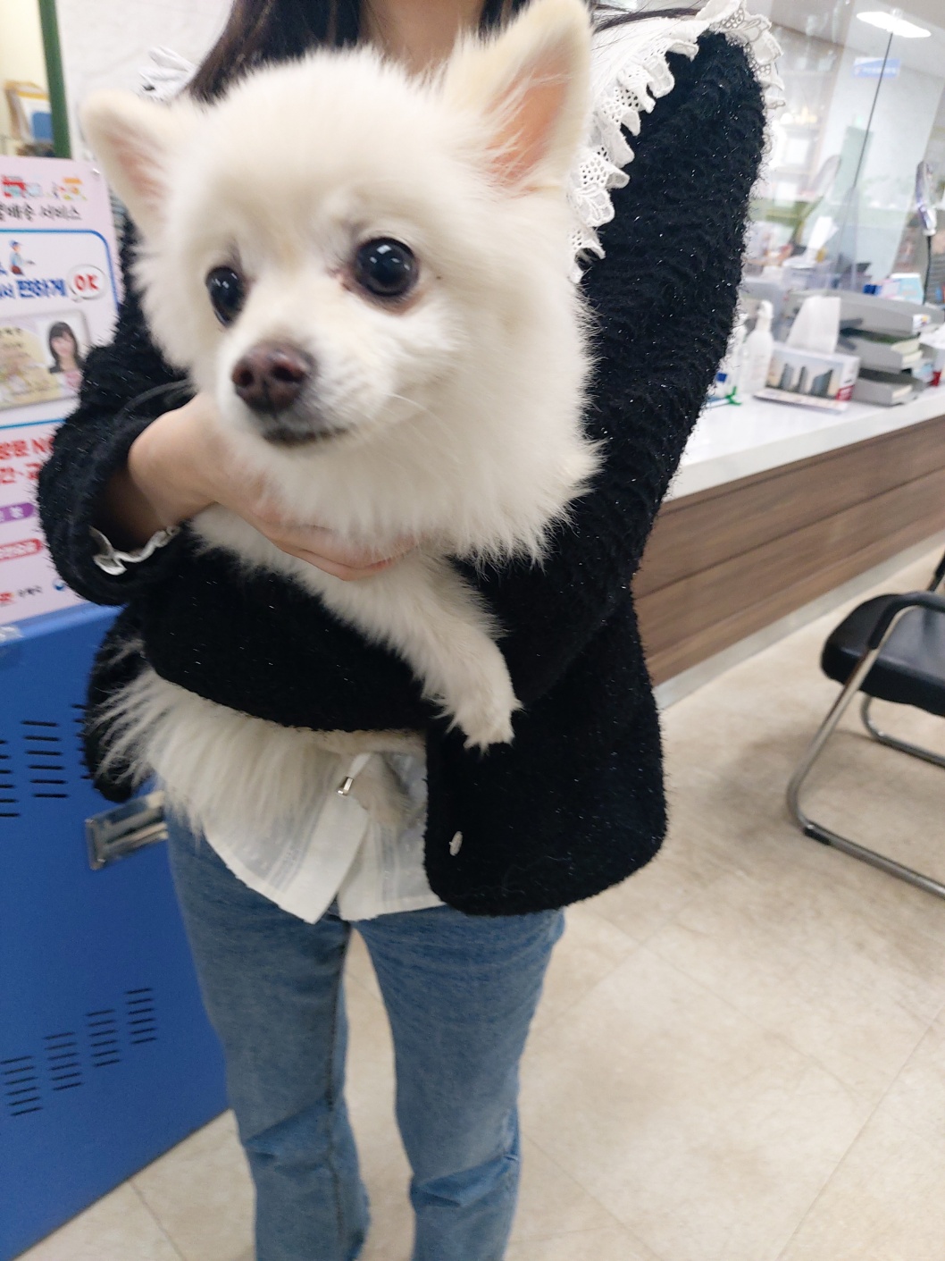 우리동물병원_428356202300626