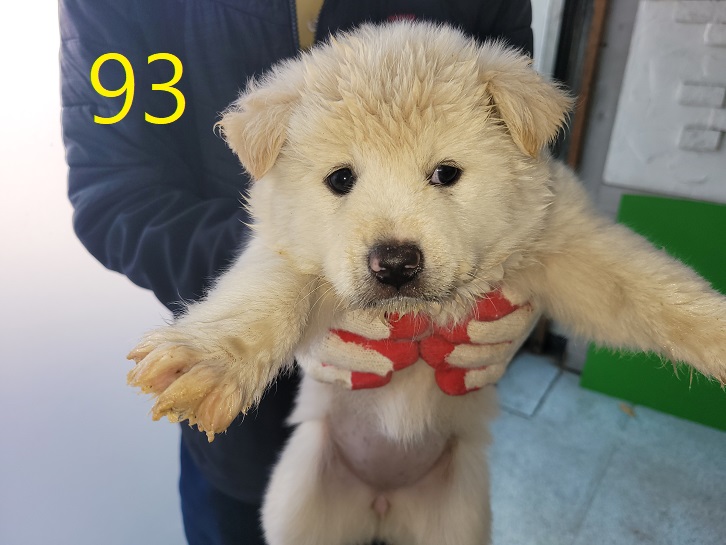 신영재동물병원_428355202300166