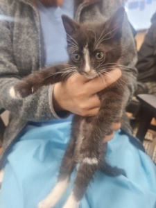 제주 동물보호센터_450650202301402