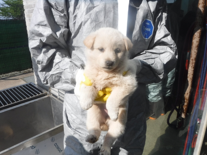 제주 동물보호센터_450650202301394