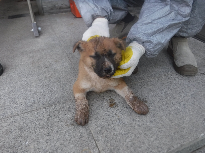 제주 동물보호센터_450650202301400