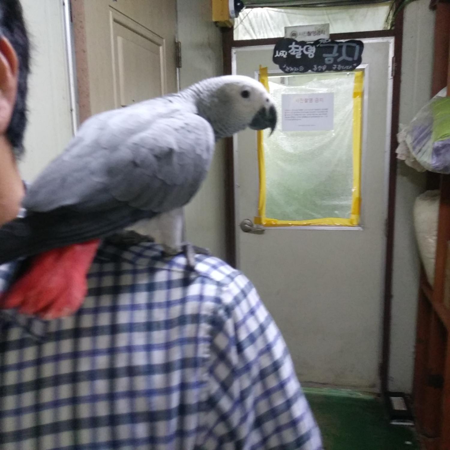 인천광역시수의사회_428352202300143