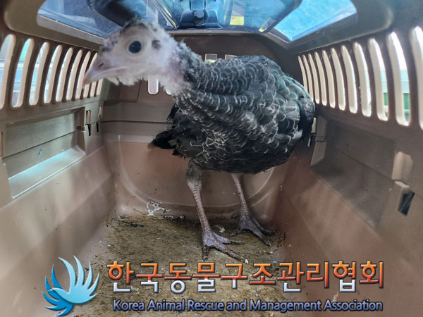 한국동물구조관리협회_411301202300254