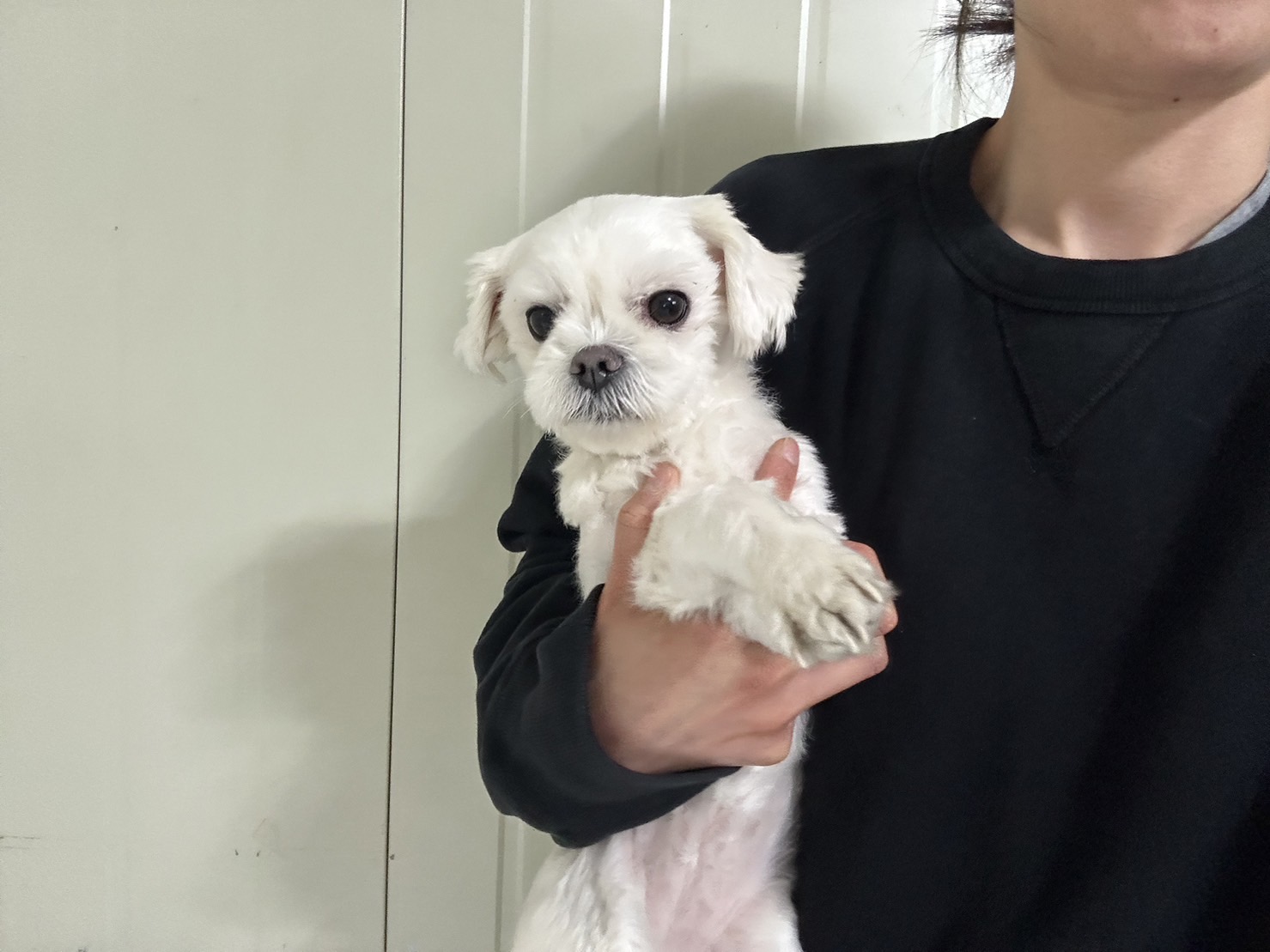 한국야생동물보호협회_441393202300673