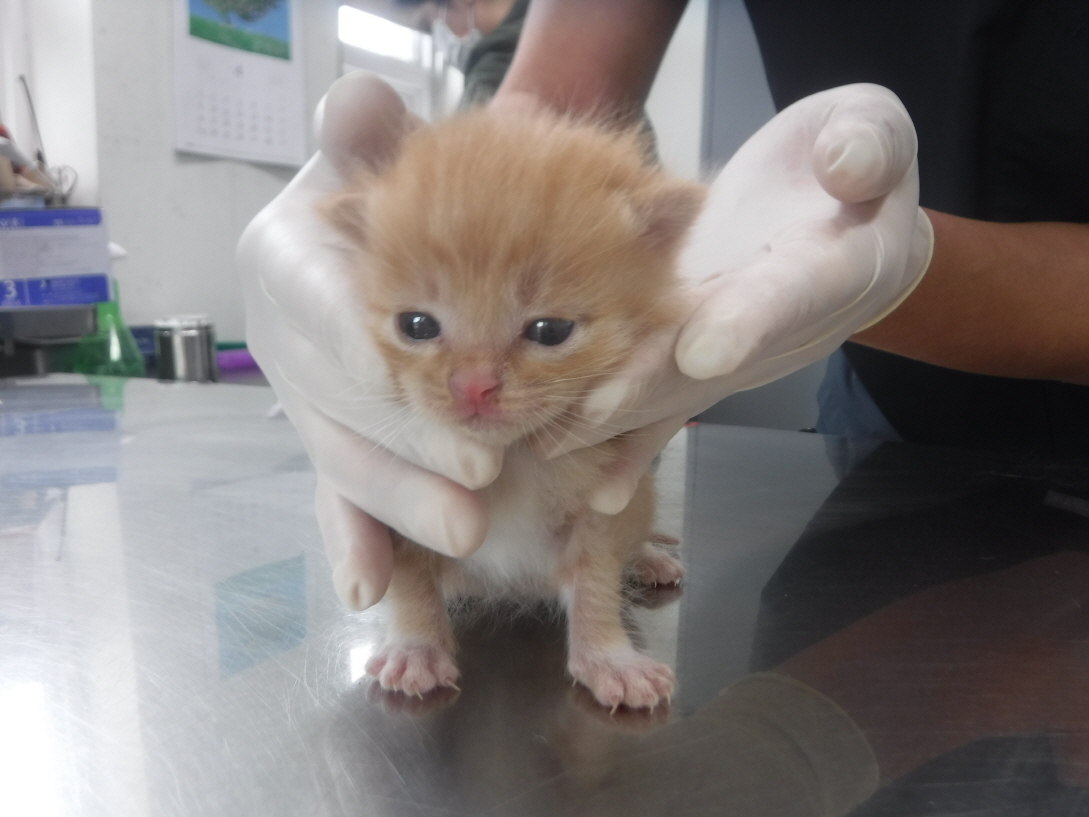 제주 동물보호센터_450650202301425