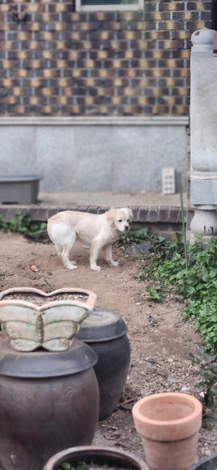 익산유기동물보호소_445468202300876