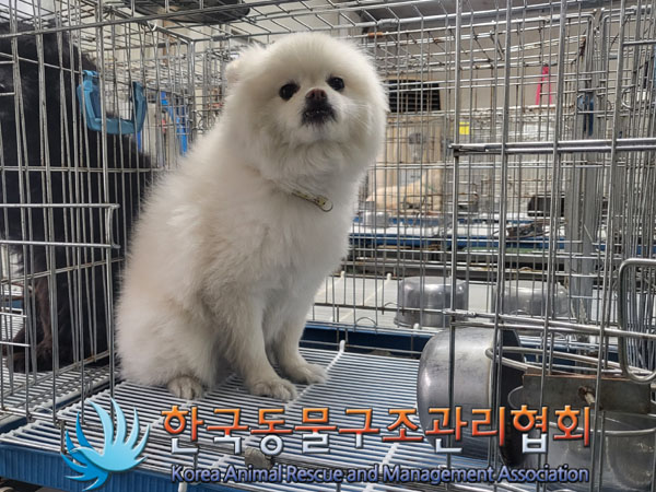 한국동물구조관리협회_411307202300152