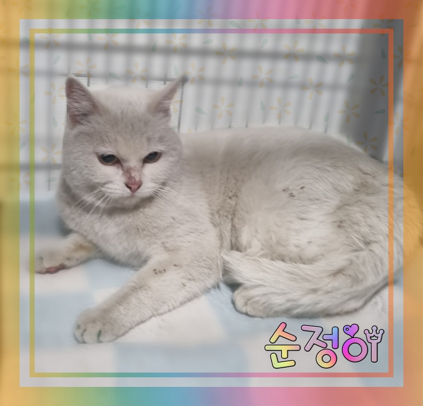 군산유기동물보호센터_445467202300631