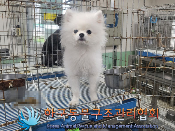 한국동물구조관리협회_441409202300635