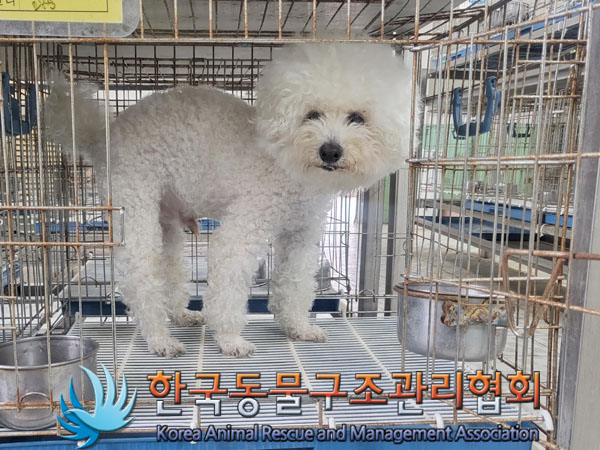 한국동물구조관리협회_411323202300313