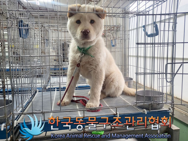 한국동물구조관리협회_441559202300346