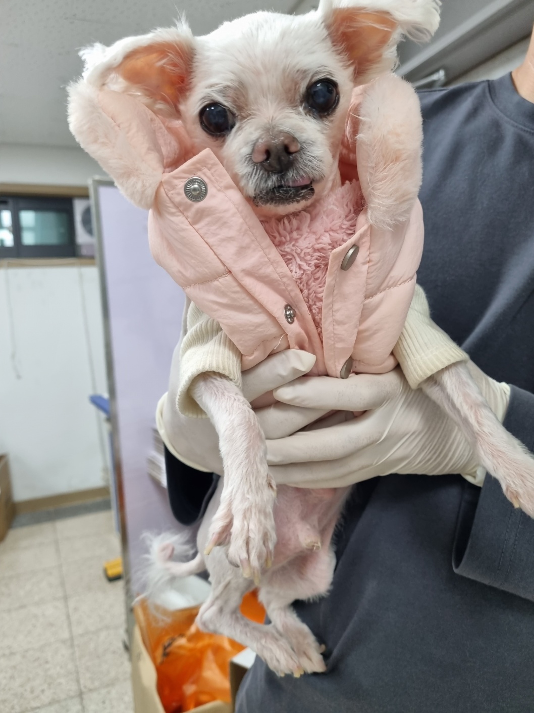 반려동물보호센터_443571202301433