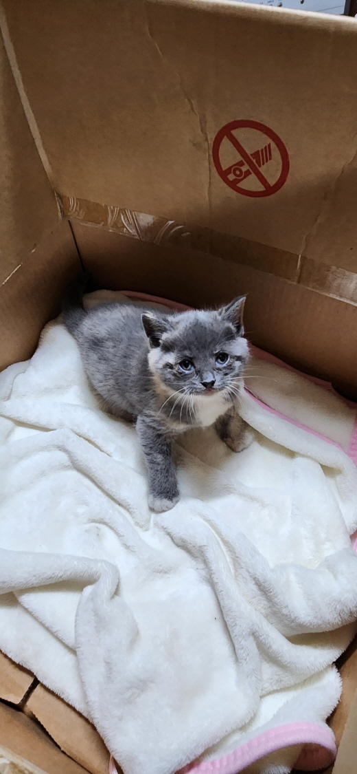 익산유기동물보호소_445468202300882