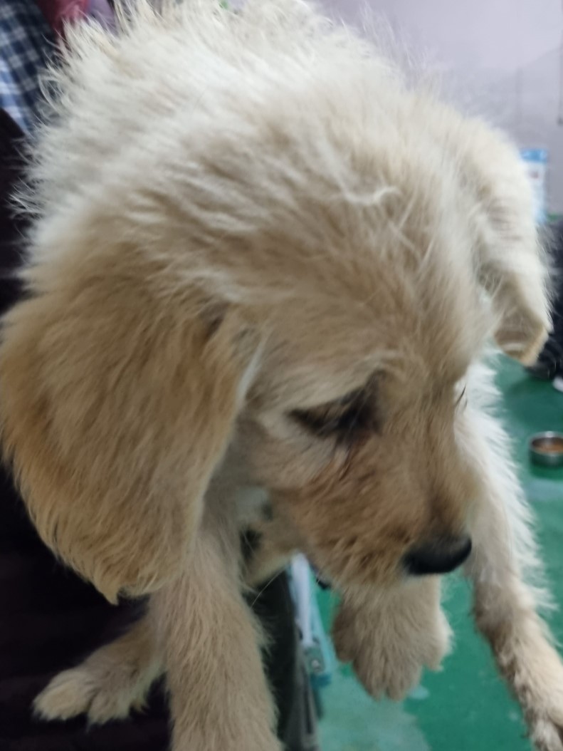밀양시동물보호센터_448536202300905