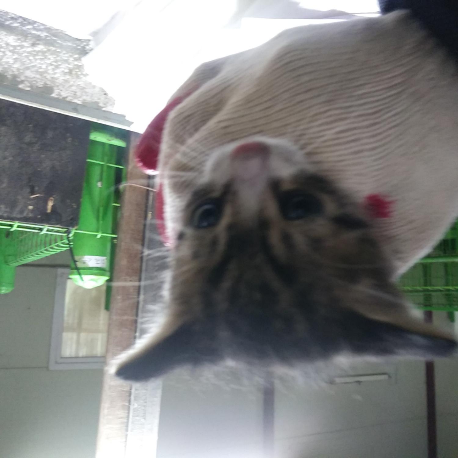 인천광역시수의사회_428351202300336