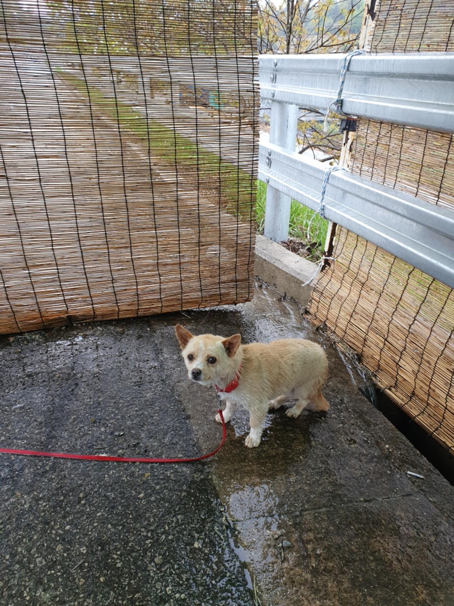 최종주동물병원_443444202300240