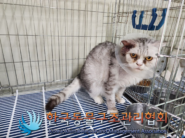 한국동물구조관리협회_411301202300255