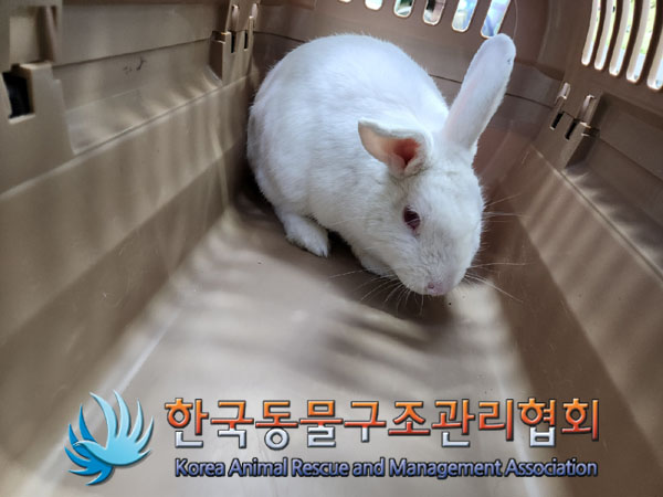 한국동물구조관리협회_411316202300282