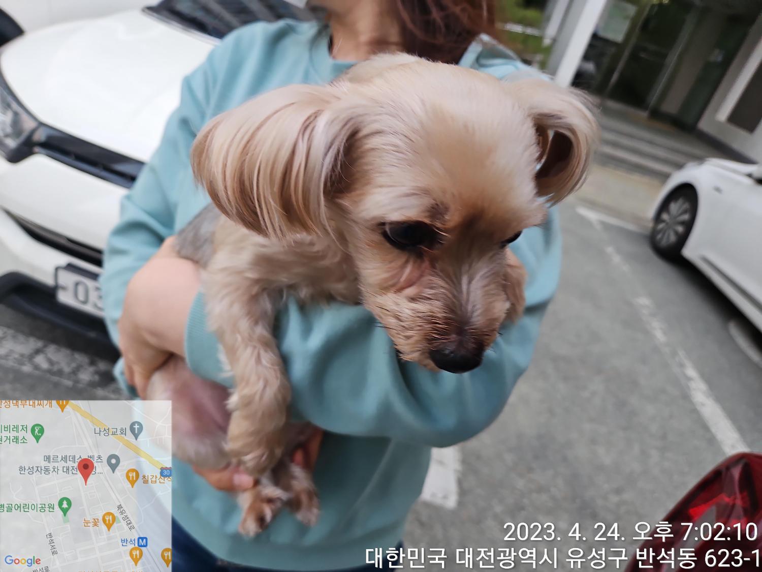 대전동물보호센터_430367202300254