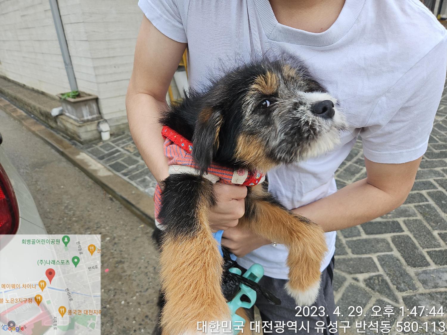 대전동물보호센터_430367202300260