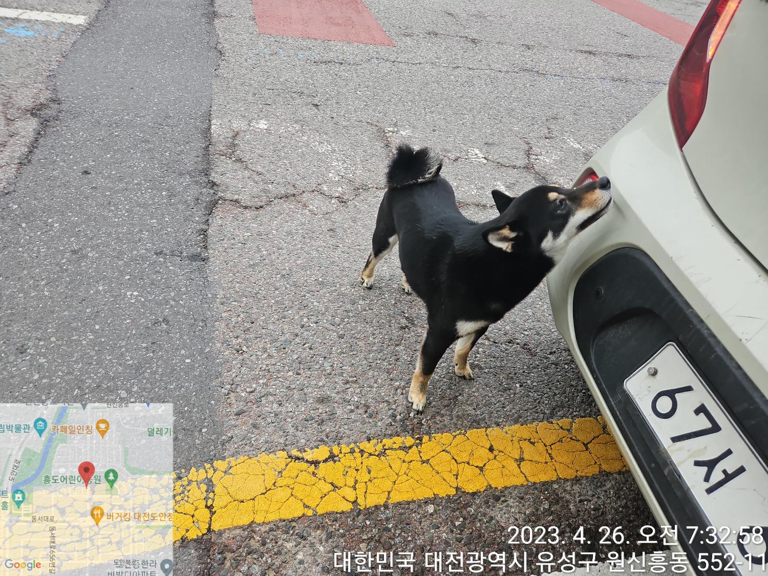 종료(반환) 시바의…
