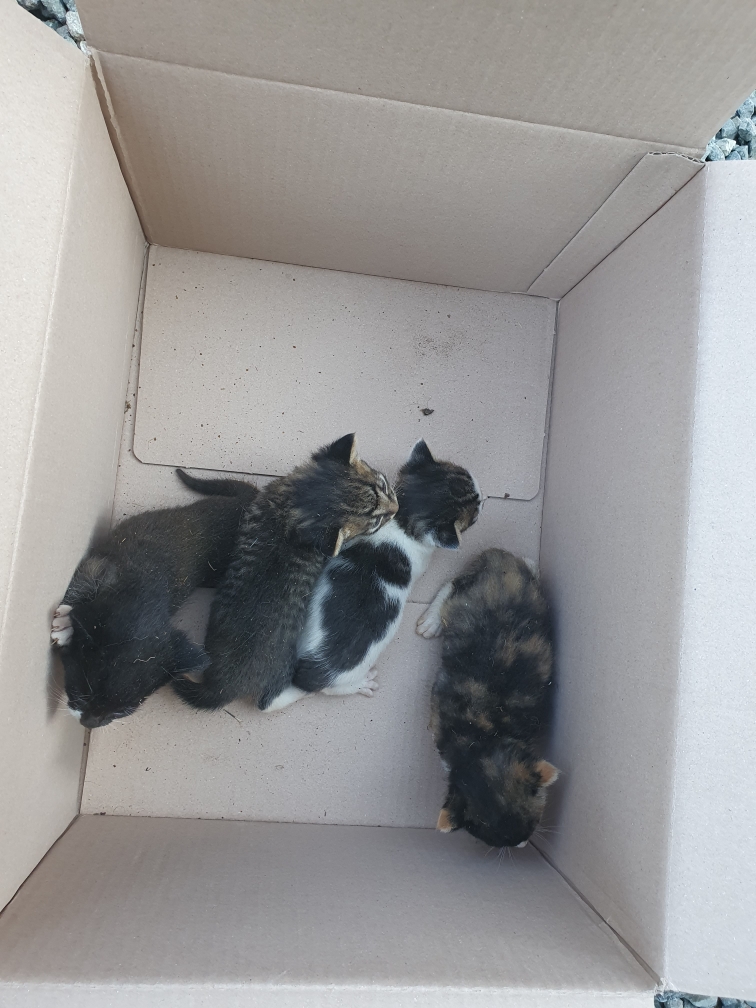 최종주동물병원_443444202300243
