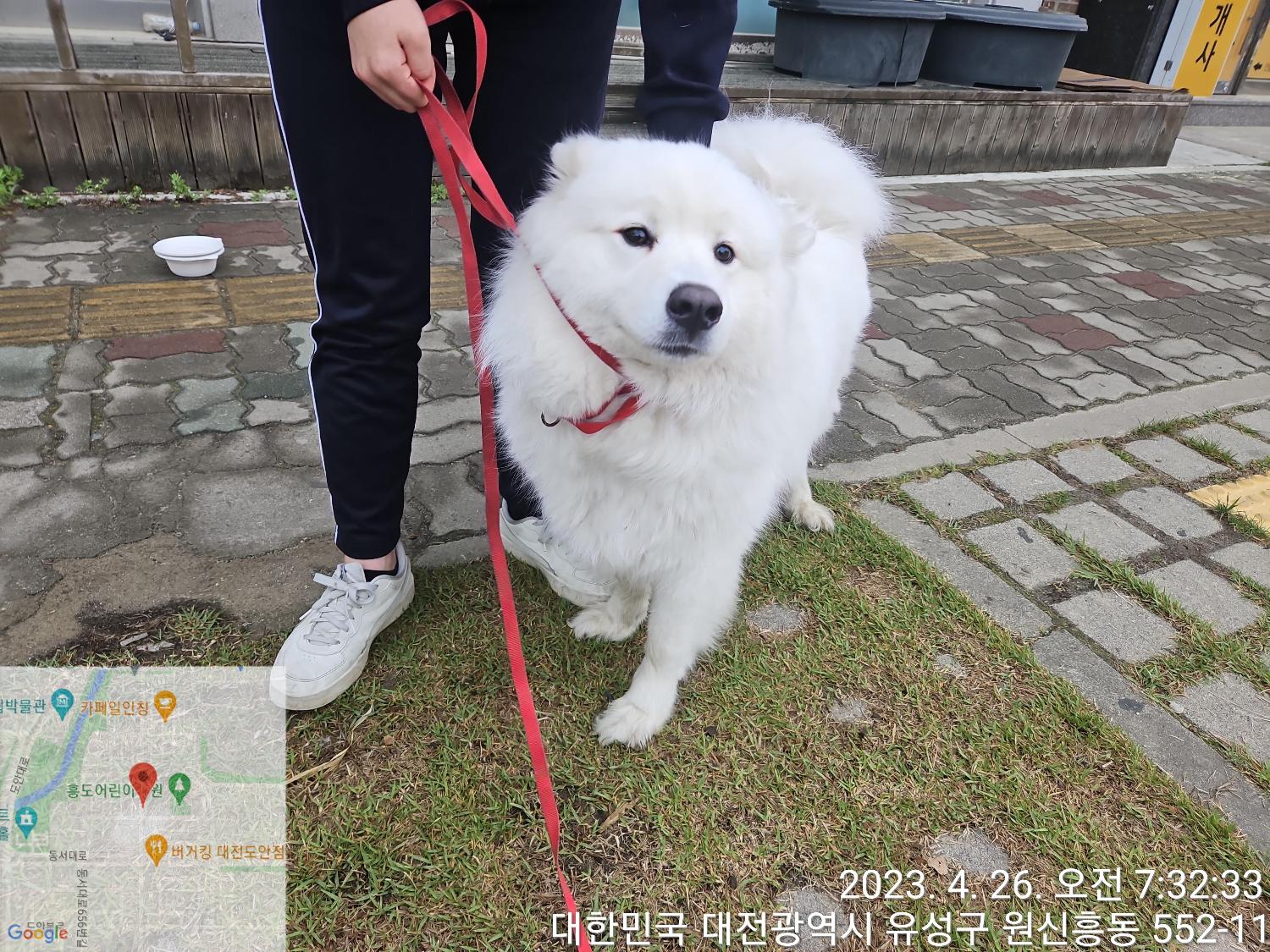 종료(반환) 사모예…