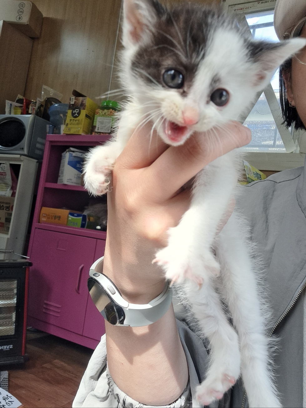 울산유기동물보호센터_431373202300426