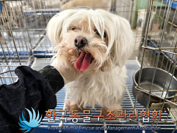한국동물구조관리협회_411310202300169