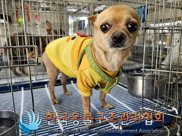 한국동물구조관리협회_411316202300287