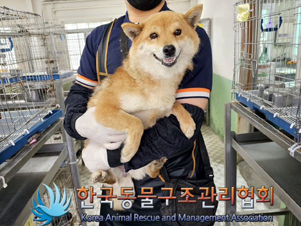 한국동물구조관리협회_441406202300569
