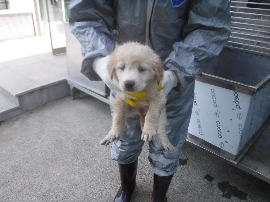 제주 동물보호센터_450650202301434