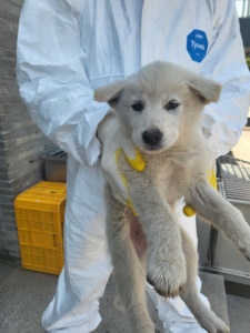 제주 동물보호센터_450650202301429